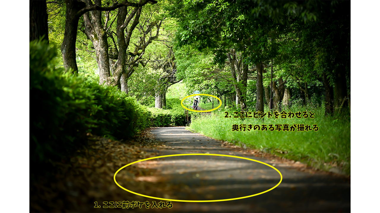 前ボケを入れて撮影した道のスナップ写真