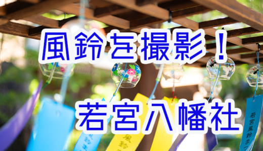 【風鈴祭り】名古屋総鎮守 若宮八幡社 に行ってきました。