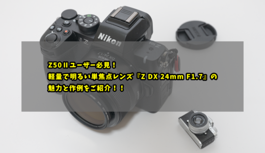 Z50Ⅱユーザー必見！軽量で明るい単焦点レンズ『Z DX 24mm F1.7』の魅力と作例