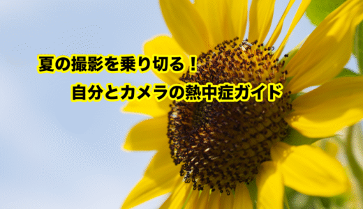 【夏の撮影を乗り切る】自分とカメラの熱中症対策ガイド