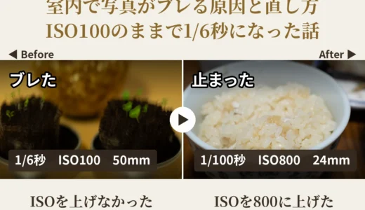 室内で撮った2枚の比較。左は1/6秒ISO100でブレた写真、右は1/100秒ISO800で止まった写真