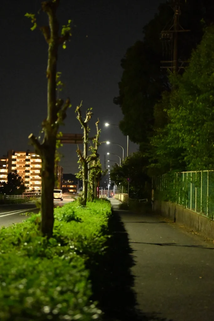 夜道の街灯が奥へ並ぶ放射線構図。ISO6400・1/100秒で手持ち撮影
